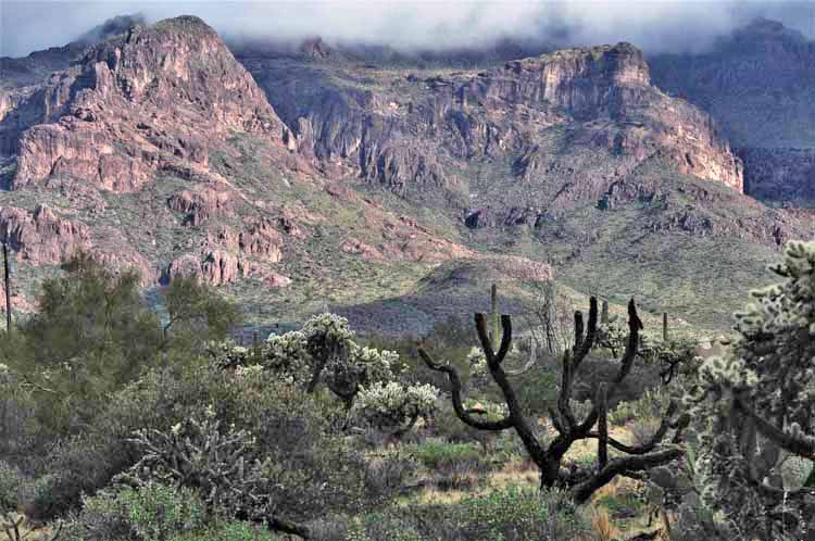 mtn scenic
